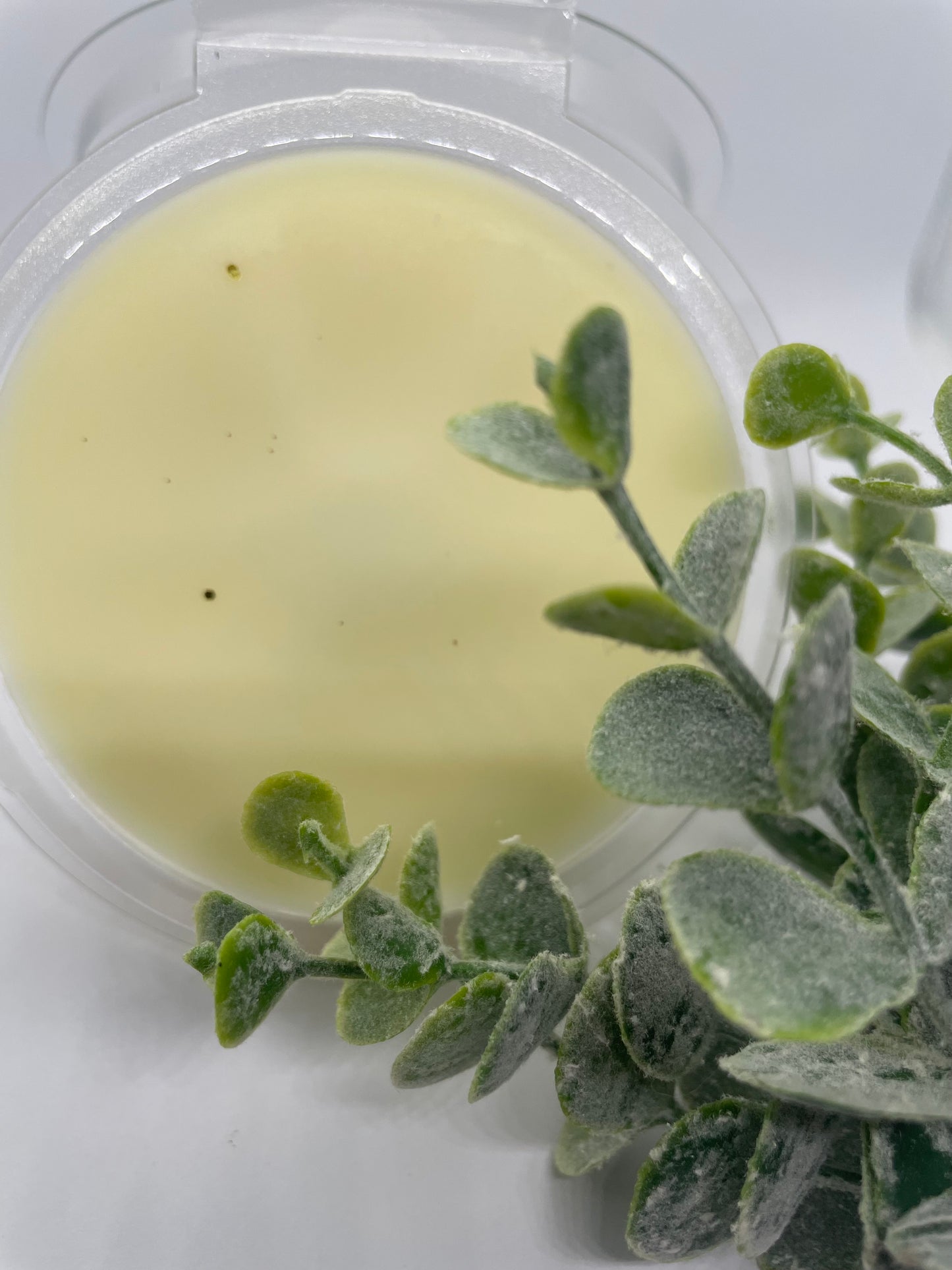 Thyme, Olive & Bergamot Wax Melts