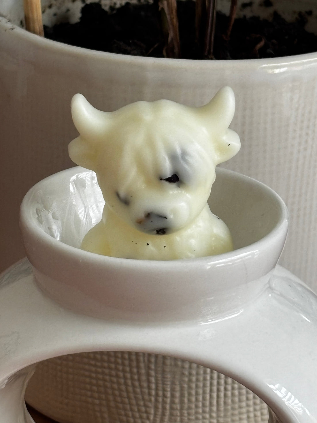Highland cow wax melt (Bali Bliss)