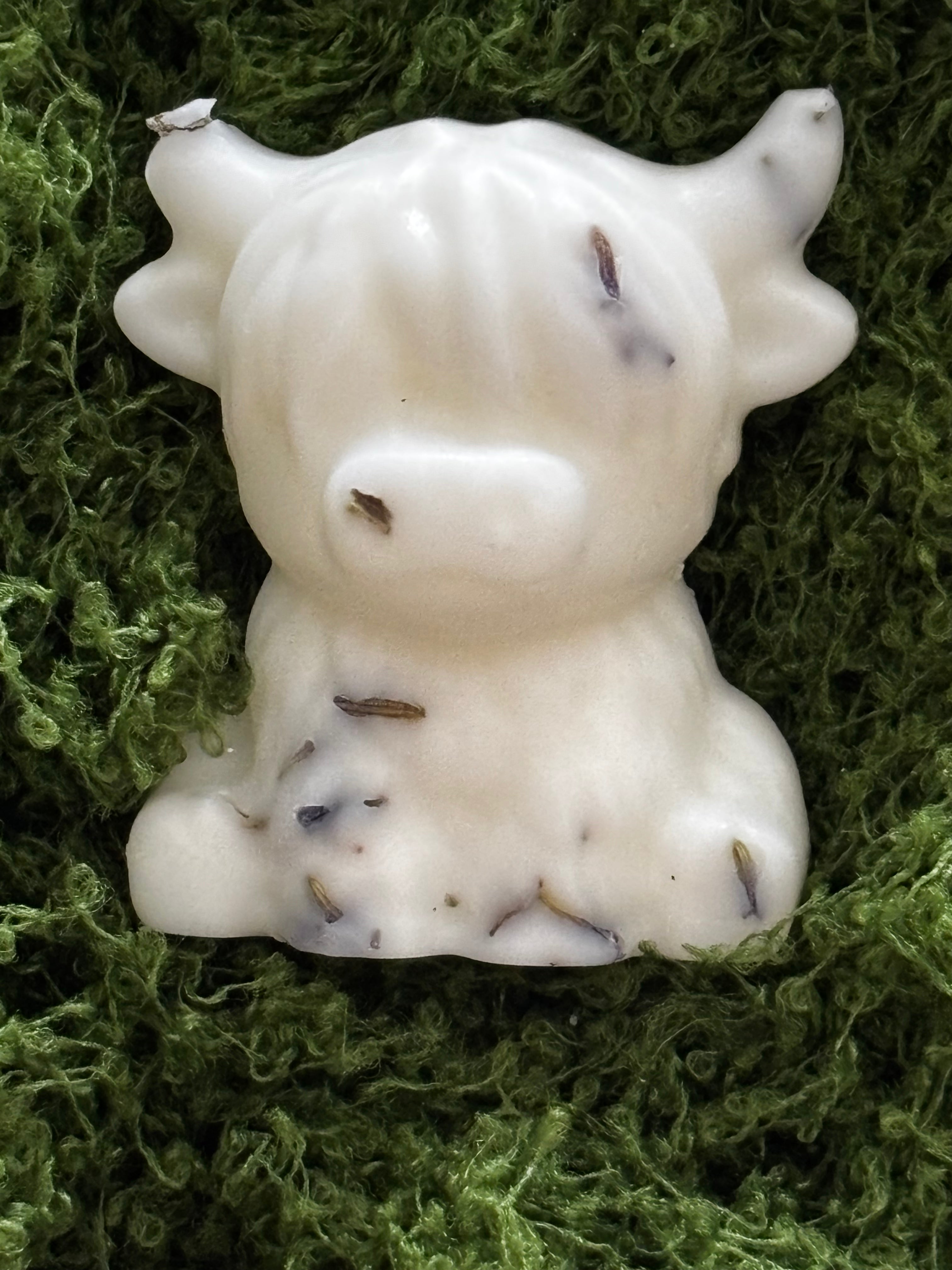 Highland cow wax melt (wild Lemongrass)
